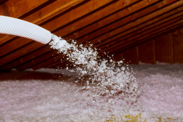Types of Insulation We Offer in Amberley, OH