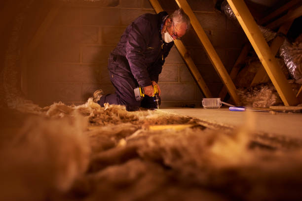 Types of Insulation We Offer in Amberley, OH